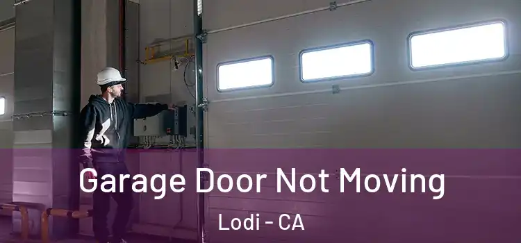  Garage Door Not Moving Lodi - CA