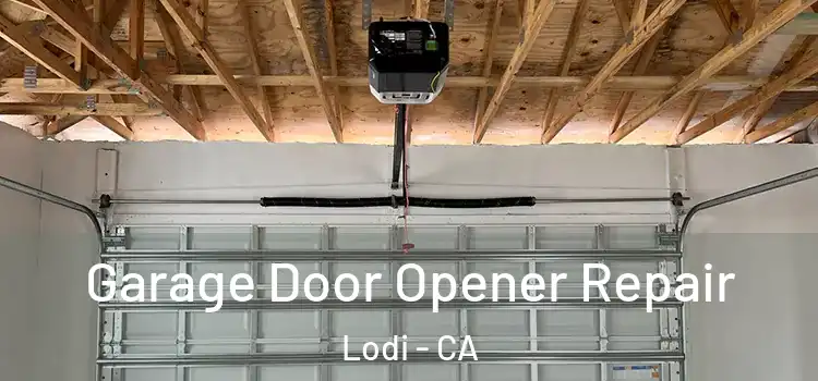  Garage Door Opener Repair Lodi - CA